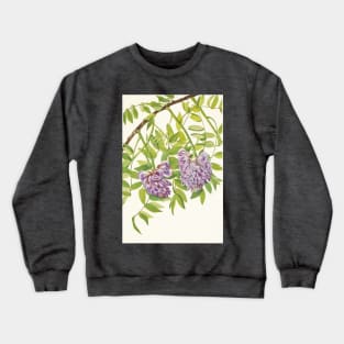 American wisteria - Botanical Illustration Crewneck Sweatshirt